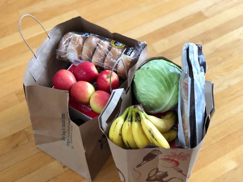 shopping bag with groceries